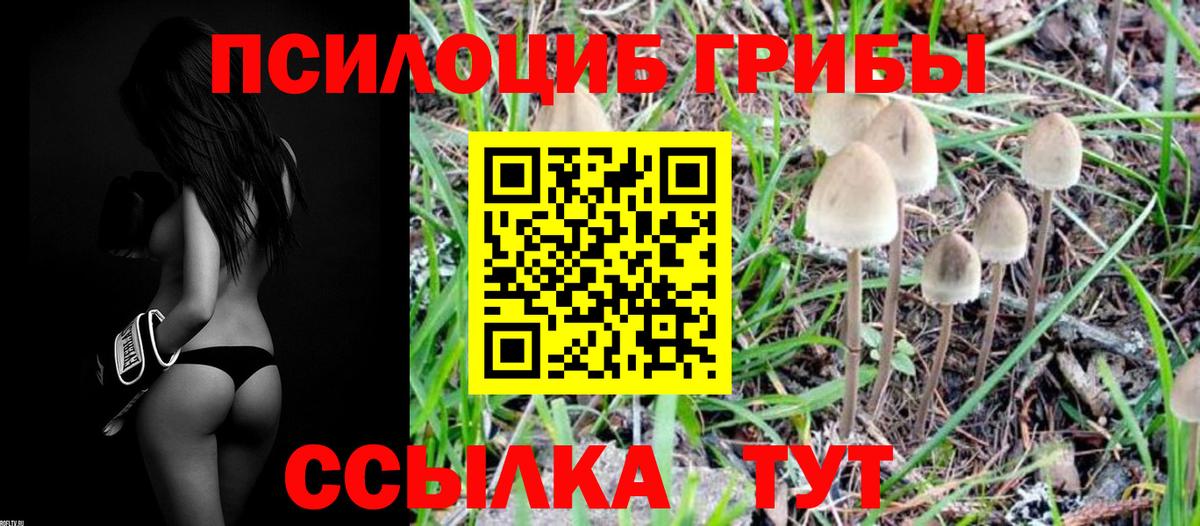 Псилоцибиновые грибы мицелий  Вход с VPN  Кстово 