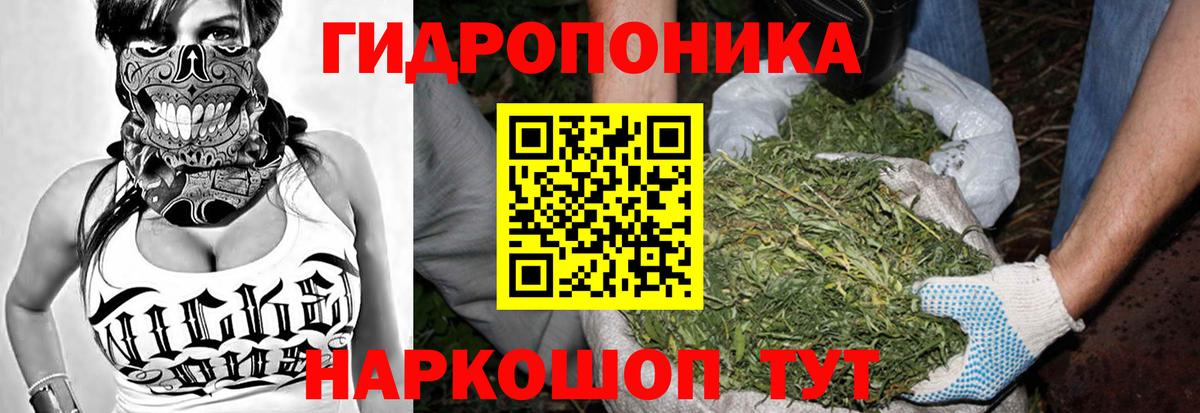 Марихуана LSD WEED  Каннабис марихуана  Вход с VPN  Шишки марихуана LSD WEED  Кстово  Конопля ГИДРОПОН 